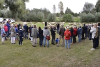 Big sheep tour (12)
