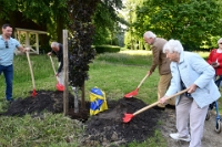 100 jarige Rijkje Maters met boom (2)