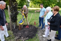 100 jarige Rijkje Maters met boom (5)
