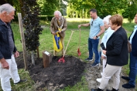 100 jarige Rijkje Maters met boom (6)